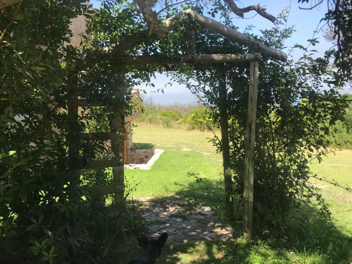 Trinity Farm Ocean View Cottage Plettenberg Bay Kültér fotó