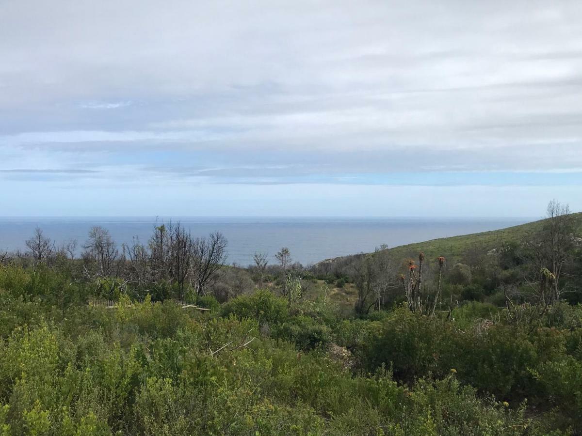 Trinity Farm Ocean View Cottage Plettenberg Bay Kültér fotó